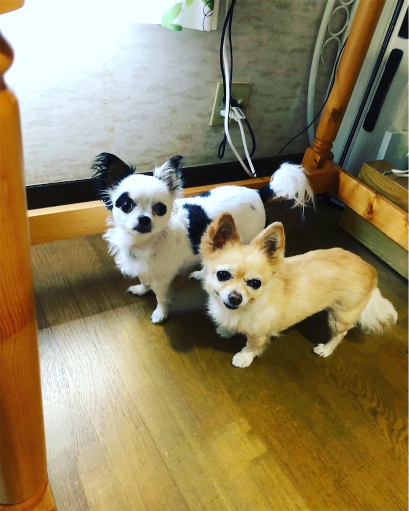 f:id:chihiroukiuki:20211206002615j:image