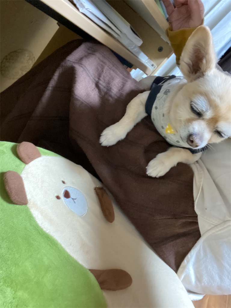 f:id:chihiroukiuki:20211214203239j:image f:id:chihiroukiuki:20211214203239j:image