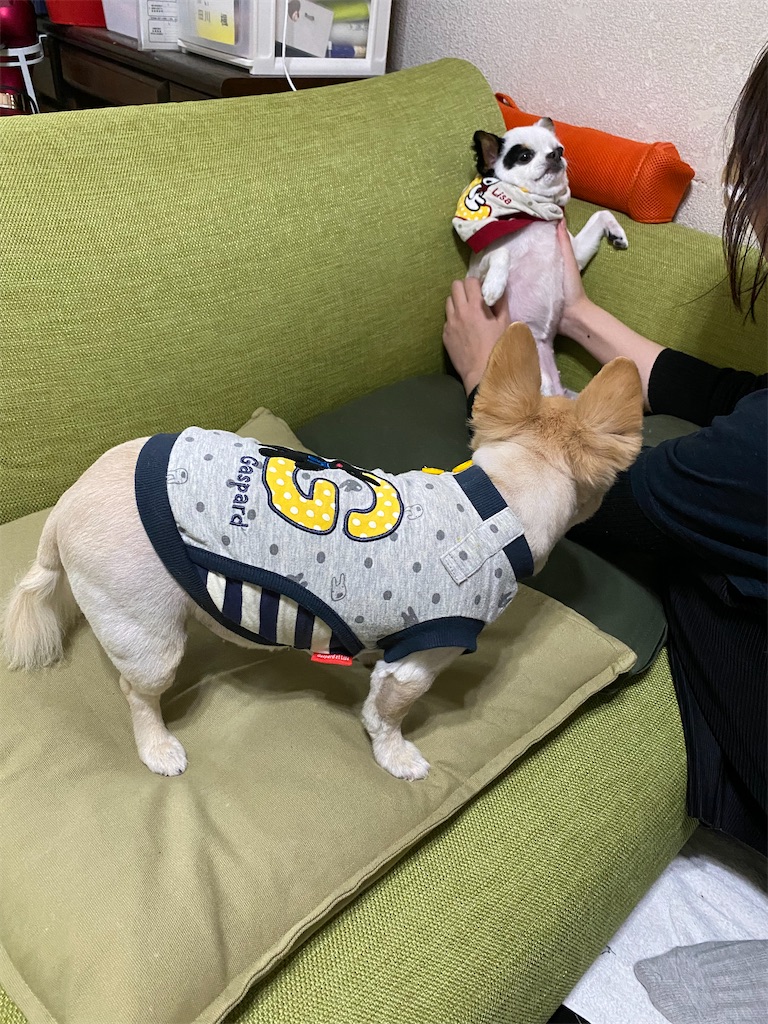 f:id:chihiroukiuki:20211214203318j:image f:id:chihiroukiuki:20211214203318j:image