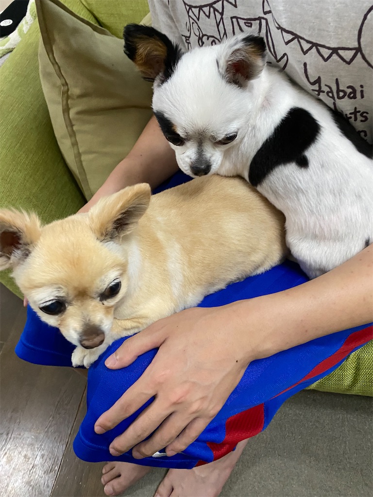 f:id:chihiroukiuki:20220526235857j:image