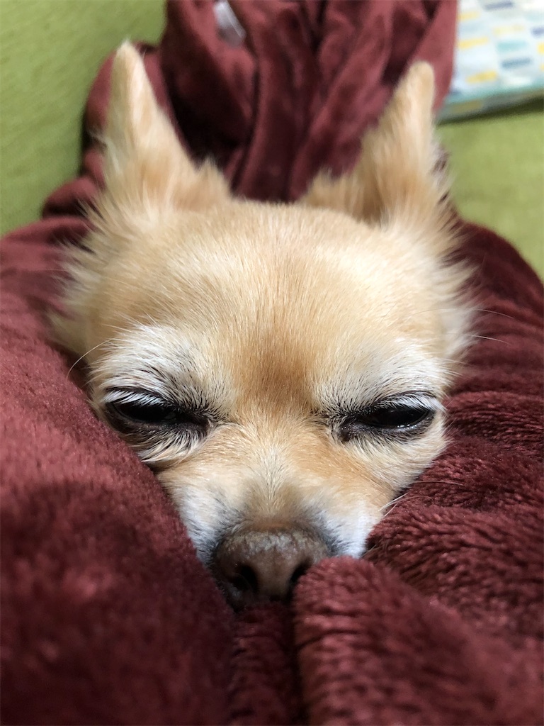 f:id:chihiroukiuki:20220527000004j:image