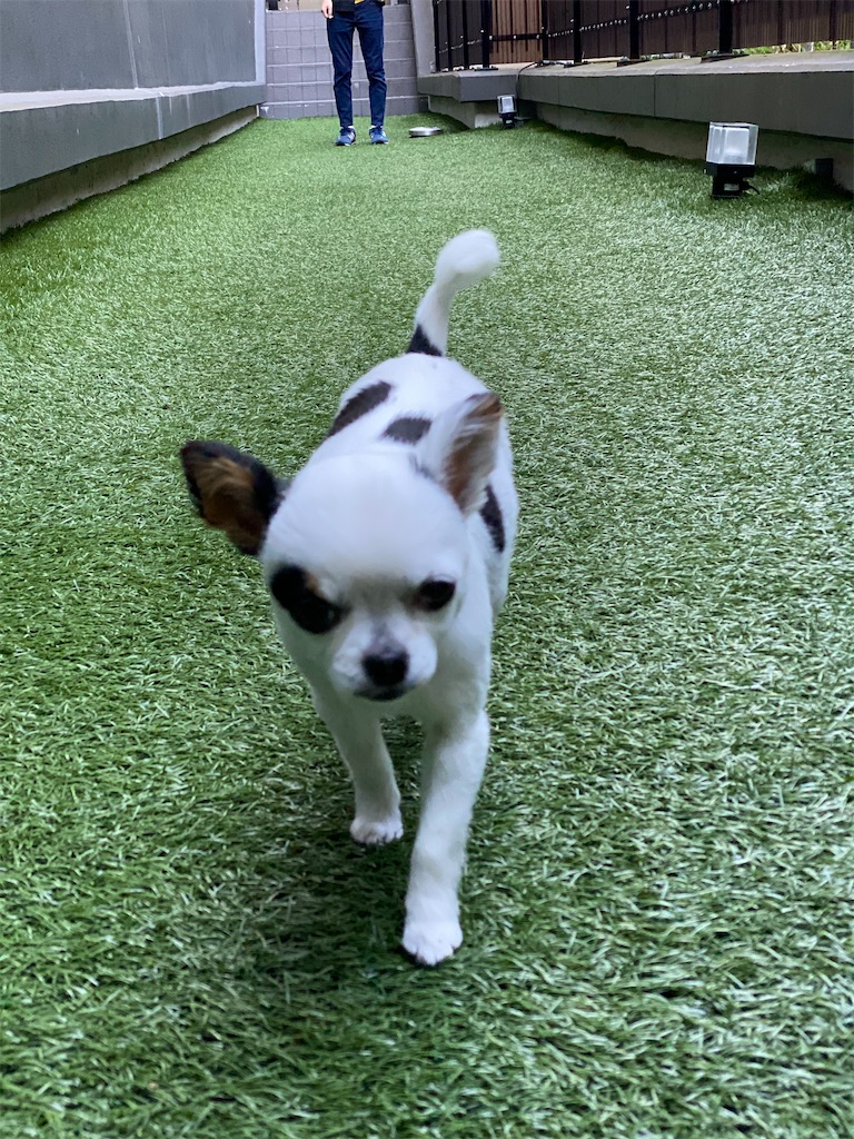 f:id:chihiroukiuki:20220605092234j:image f:id:chihiroukiuki:20220605092234j:image