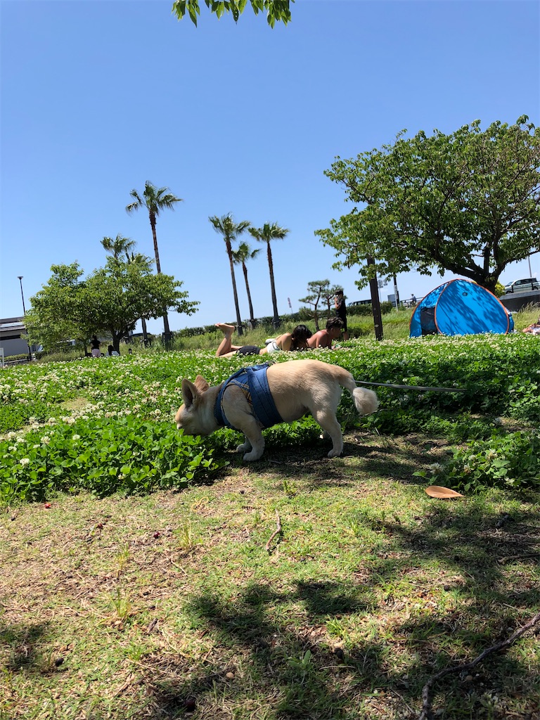 f:id:chihiroukiuki:20220605092339j:image f:id:chihiroukiuki:20220605092339j:image