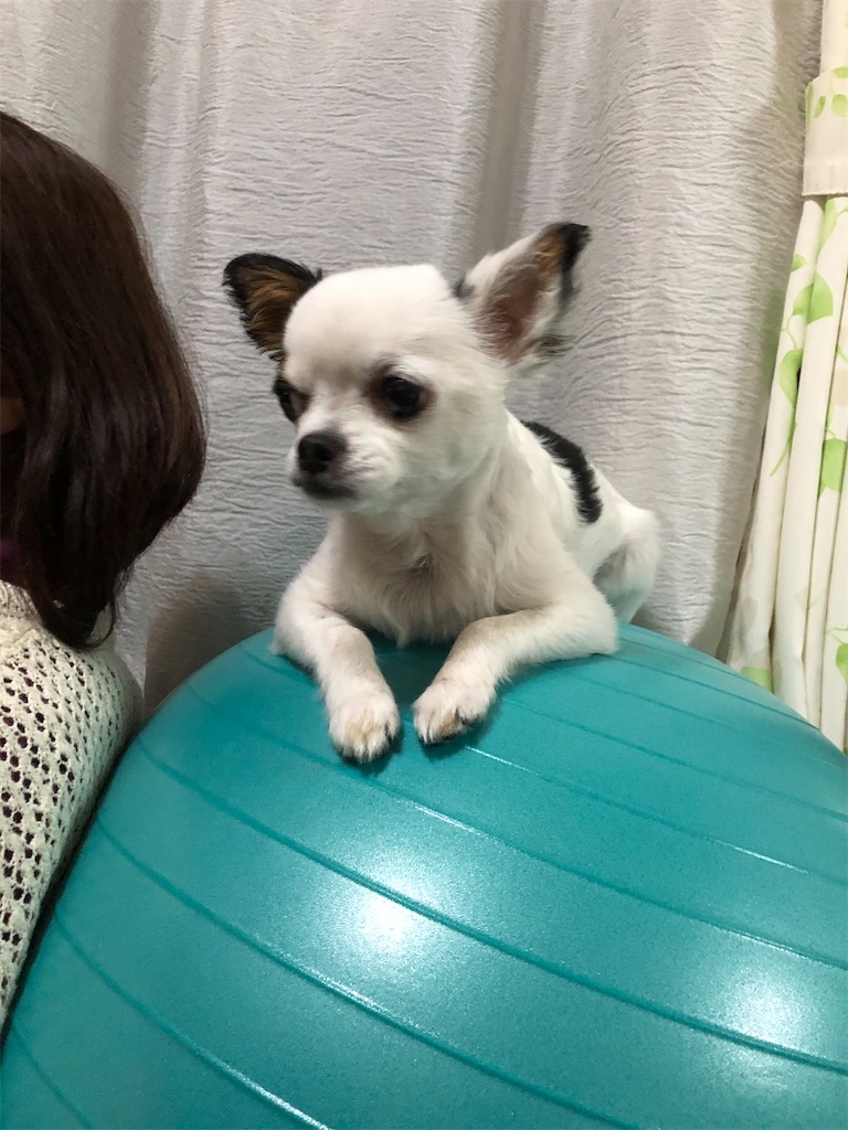 f:id:chihiroukiuki:20220920011821j:image