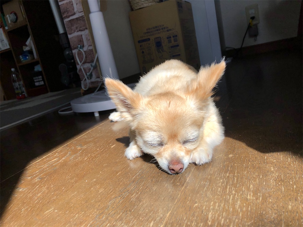 f:id:chihiroukiuki:20221009154311j:image f:id:chihiroukiuki:20221009154311j:image