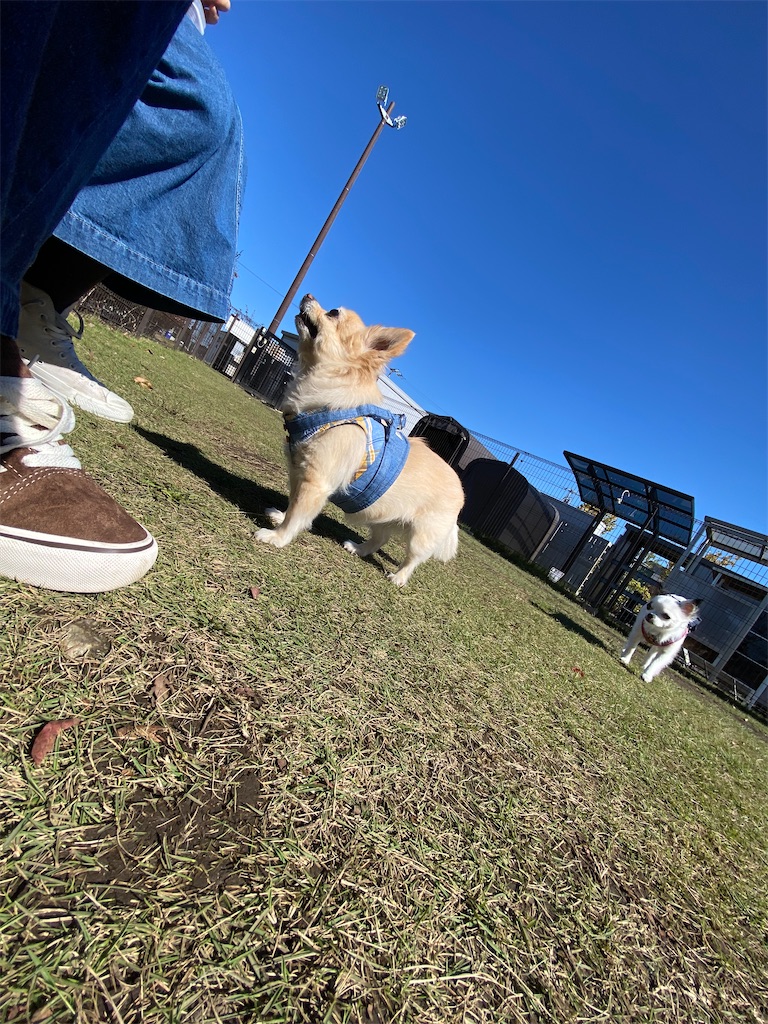 f:id:chihiroukiuki:20221027133843j:image f:id:chihiroukiuki:20221027133843j:image