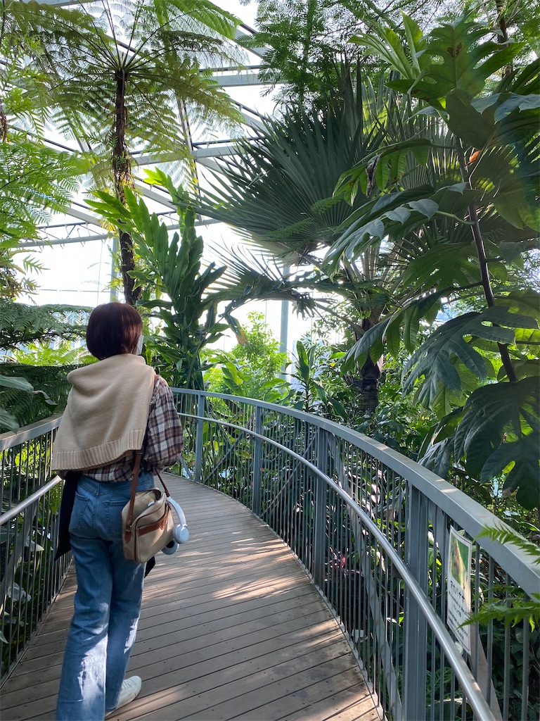 f:id:chihiroukiuki:20221114113842j:image