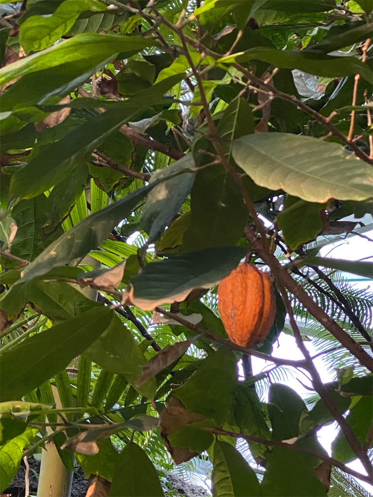 f:id:chihiroukiuki:20221114113923j:image