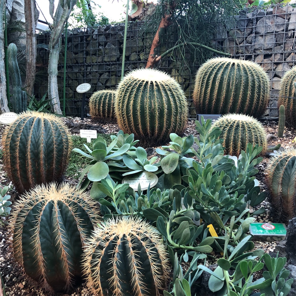 f:id:chihiroukiuki:20221114114001j:image