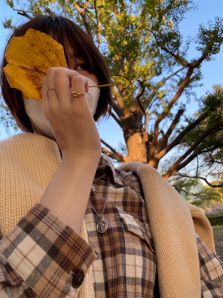 f:id:chihiroukiuki:20221114114220j:image