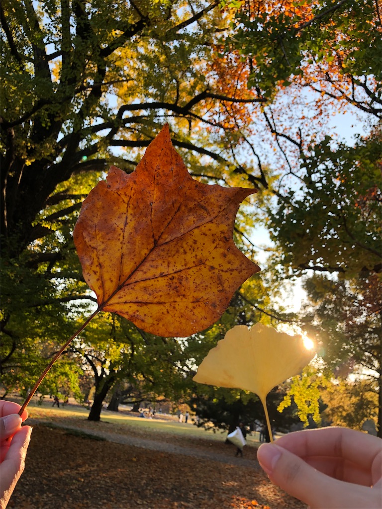 f:id:chihiroukiuki:20221114114223j:image