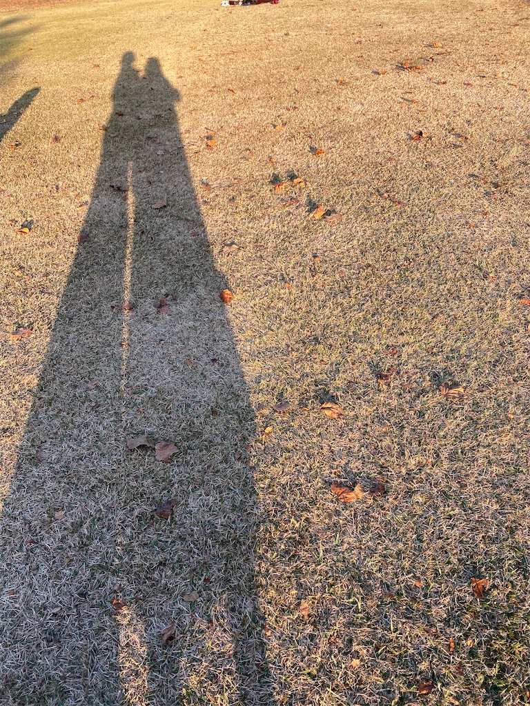 f:id:chihiroukiuki:20221114114245j:image