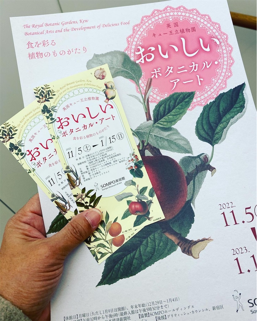 f:id:chihiroukiuki:20221114114323j:image