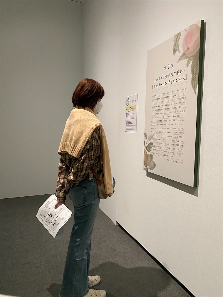 f:id:chihiroukiuki:20221114114345j:image