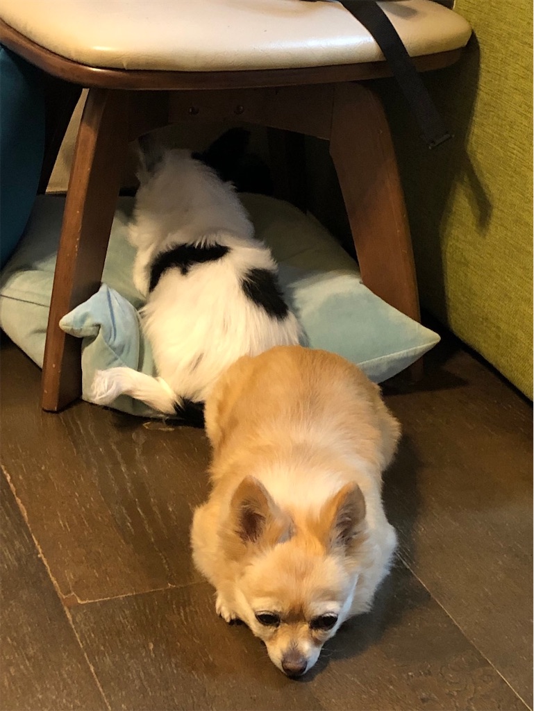 f:id:chihiroukiuki:20221231101424j:image f:id:chihiroukiuki:20221231101424j:image