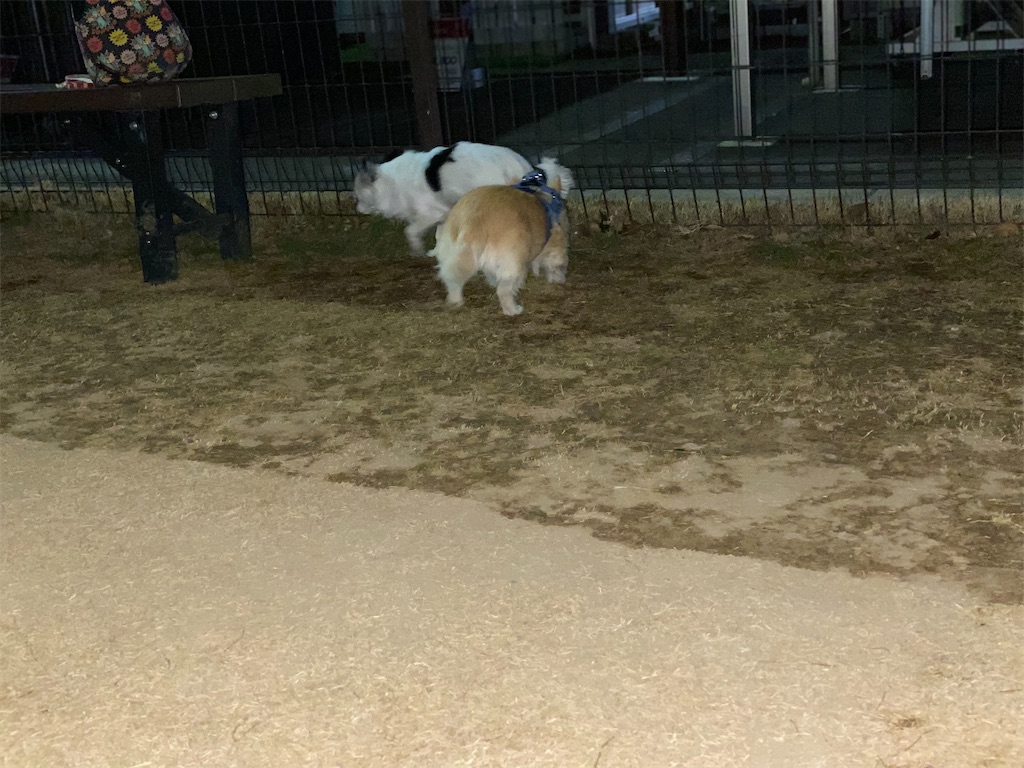 f:id:chihiroukiuki:20230116131818j:image f:id:chihiroukiuki:20230116131818j:image