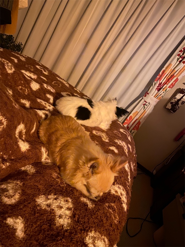 f:id:chihiroukiuki:20230124152422j:image