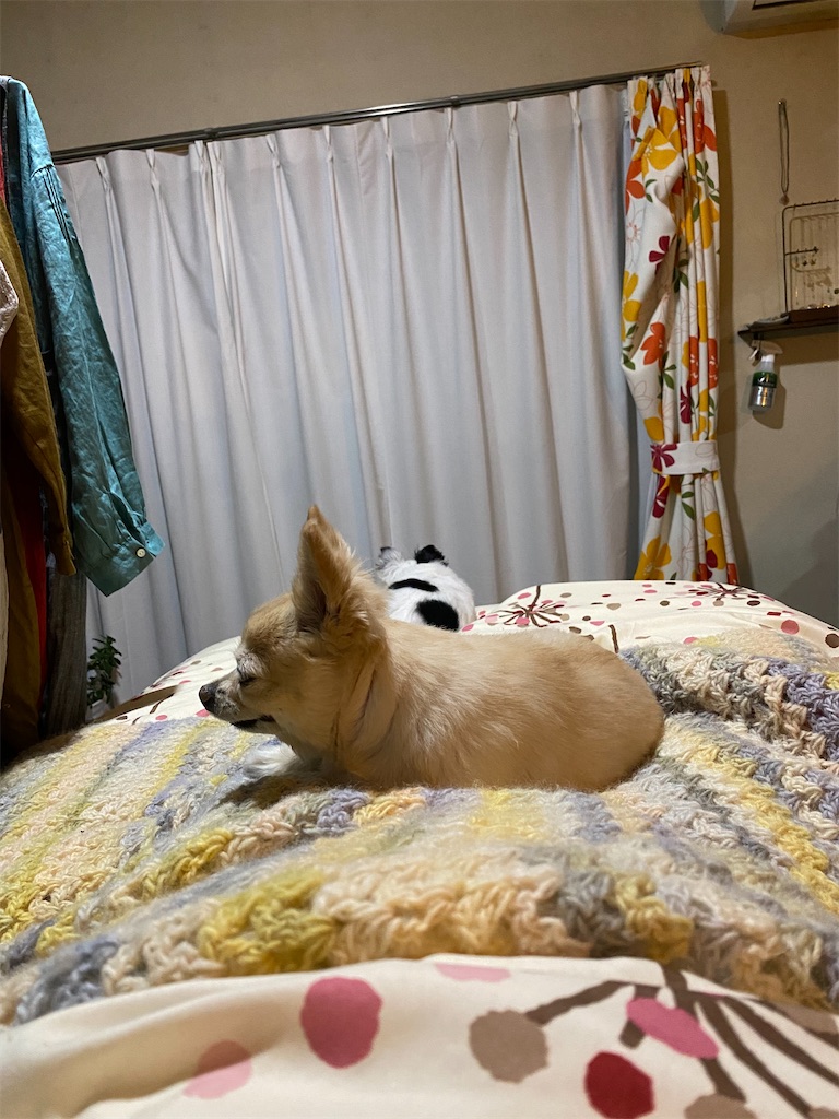 f:id:chihiroukiuki:20230412211805j:image f:id:chihiroukiuki:20230412211805j:image