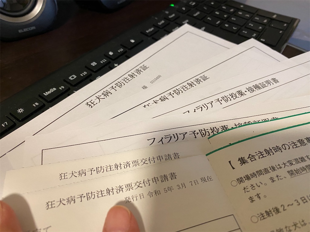 f:id:chihiroukiuki:20230420183644j:image f:id:chihiroukiuki:20230420183644j:image