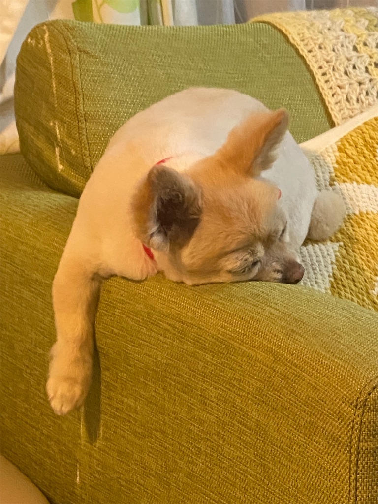 f:id:chihiroukiuki:20230430180725j:image