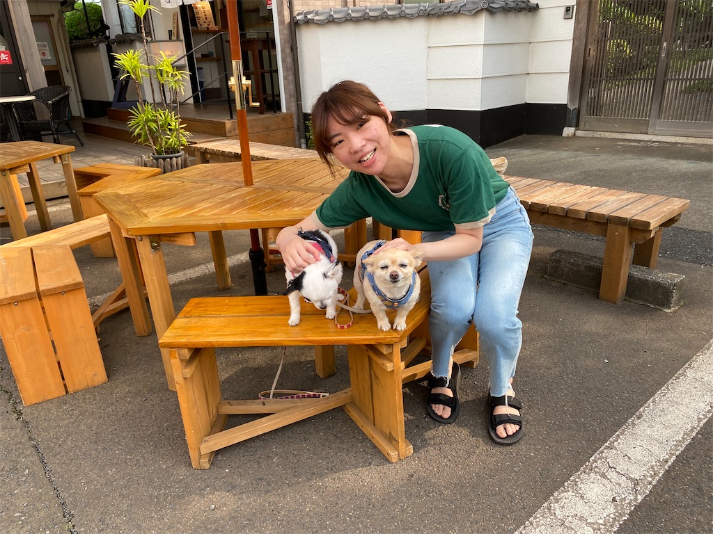 f:id:chihiroukiuki:20230711175606j:image