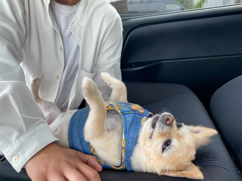 f:id:chihiroukiuki:20230824170733j:image f:id:chihiroukiuki:20230824170733j:image