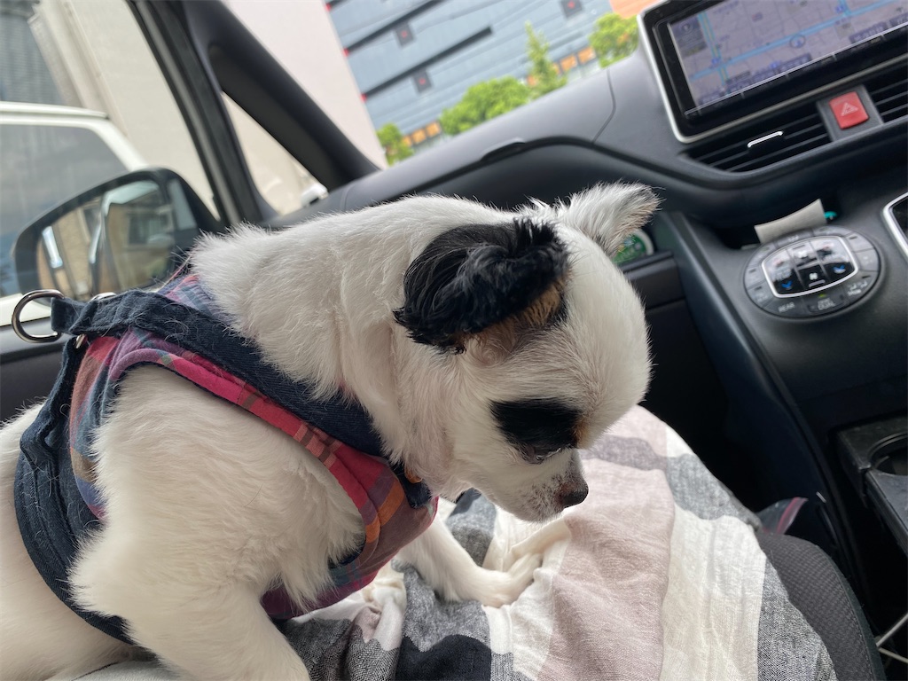 f:id:chihiroukiuki:20230824170806j:image f:id:chihiroukiuki:20230824170806j:image