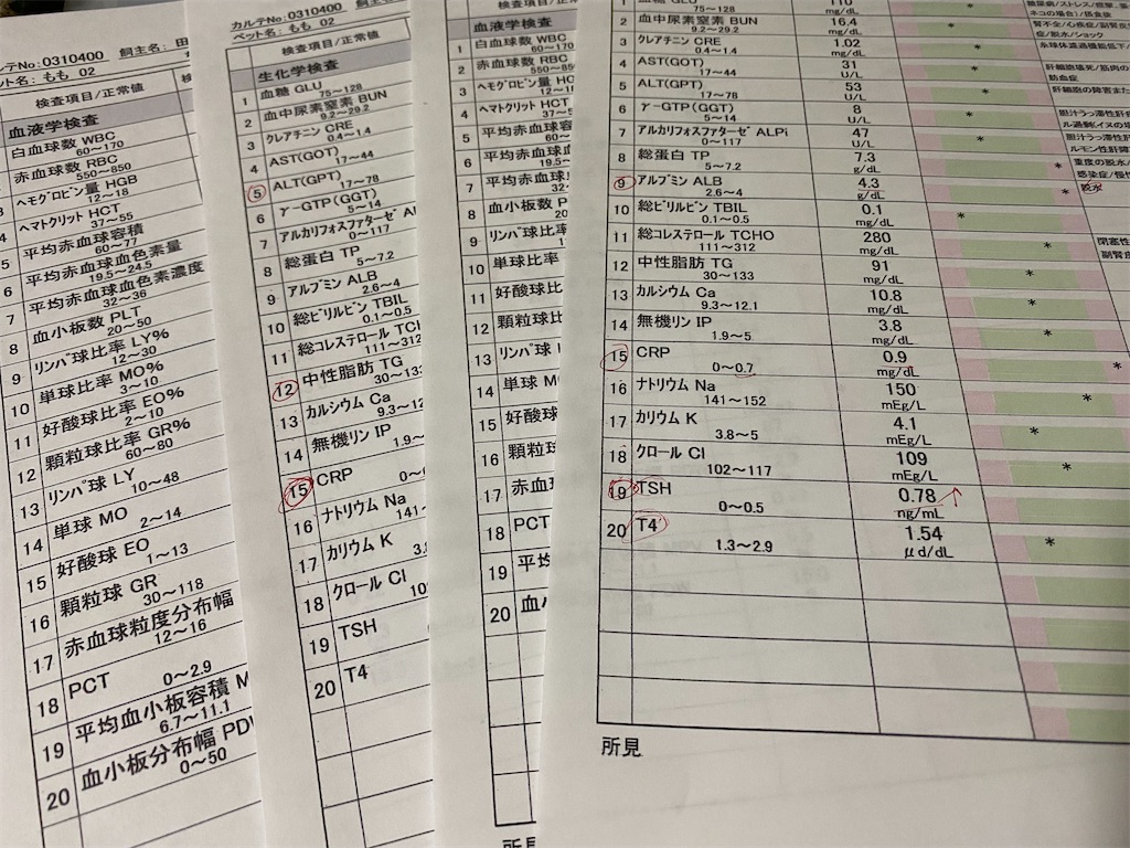 f:id:chihiroukiuki:20230824170852j:image f:id:chihiroukiuki:20230824170852j:image