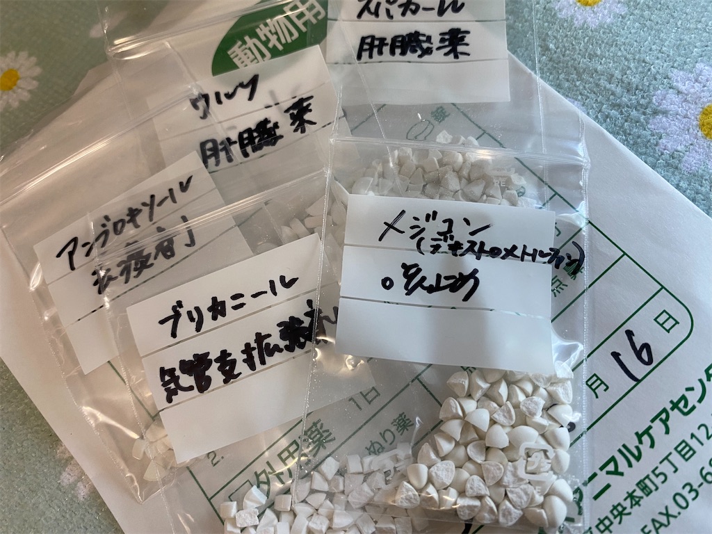 f:id:chihiroukiuki:20230824170932j:image f:id:chihiroukiuki:20230824170932j:image