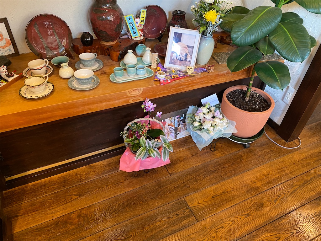 f:id:chihiroukiuki:20230831113533j:image f:id:chihiroukiuki:20230831113533j:image