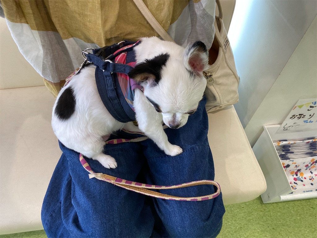 f:id:chihiroukiuki:20230920145724j:image f:id:chihiroukiuki:20230920145724j:image