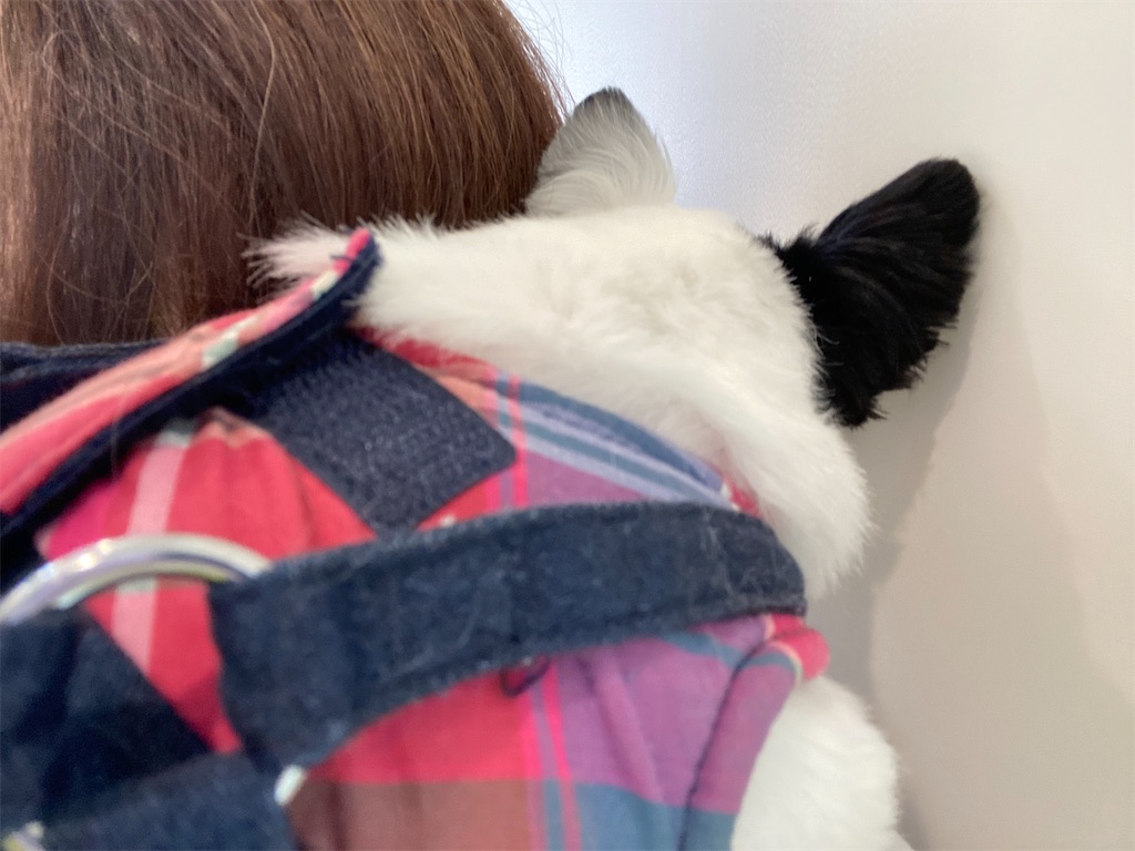 f:id:chihiroukiuki:20230920145905j:image f:id:chihiroukiuki:20230920145905j:image