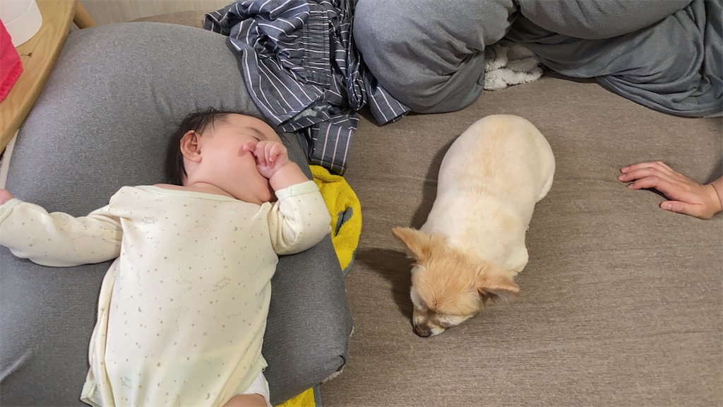 f:id:chihiroukiuki:20231102225246j:image f:id:chihiroukiuki:20231102225246j:image