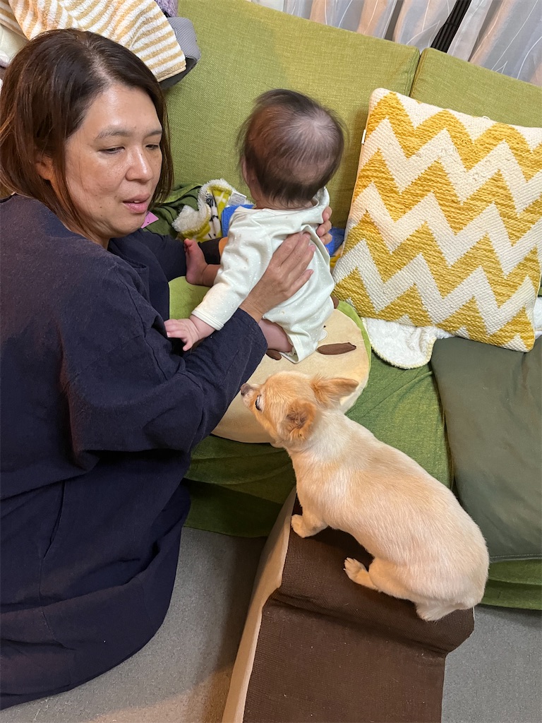 f:id:chihiroukiuki:20231102225306j:image f:id:chihiroukiuki:20231102225306j:image