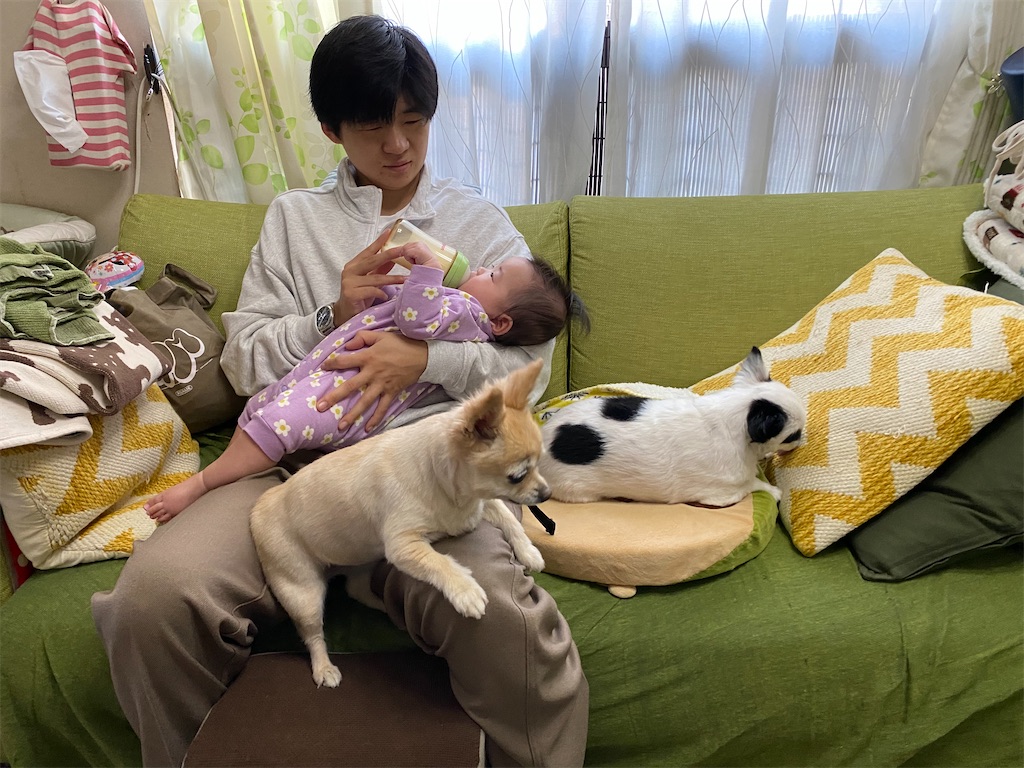 f:id:chihiroukiuki:20231102225324j:image f:id:chihiroukiuki:20231102225324j:image