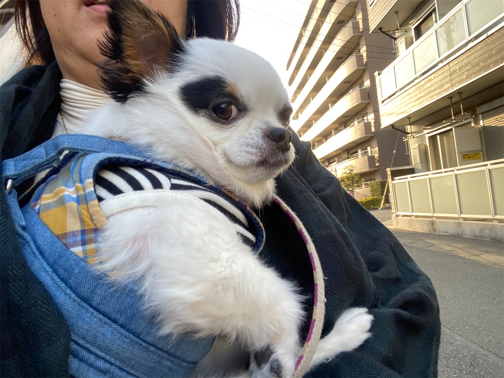 f:id:chihiroukiuki:20240425230710j:image