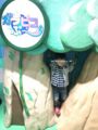 [家族のこと]ひろ4歳