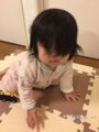 [家族のこと]あや生後331日目