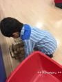 [家族のこと]ひろ4歳