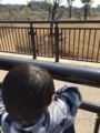 [家族のこと]ひろ4歳