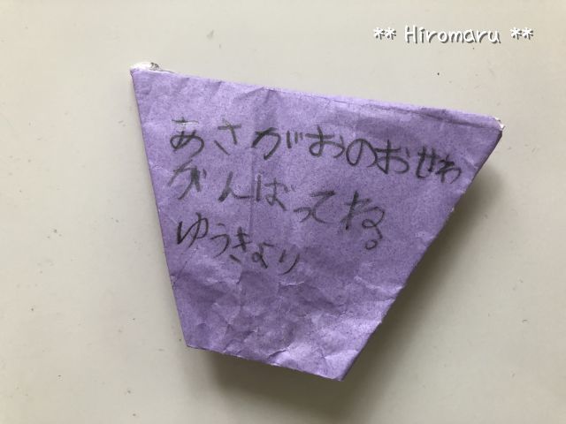 あさがおの種