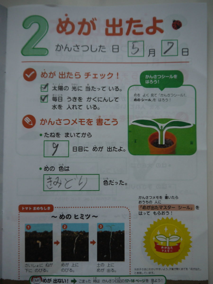 f:id:chihiyoko:20200507140844j:plain f:id:chihiyoko:20200507140844j:plain