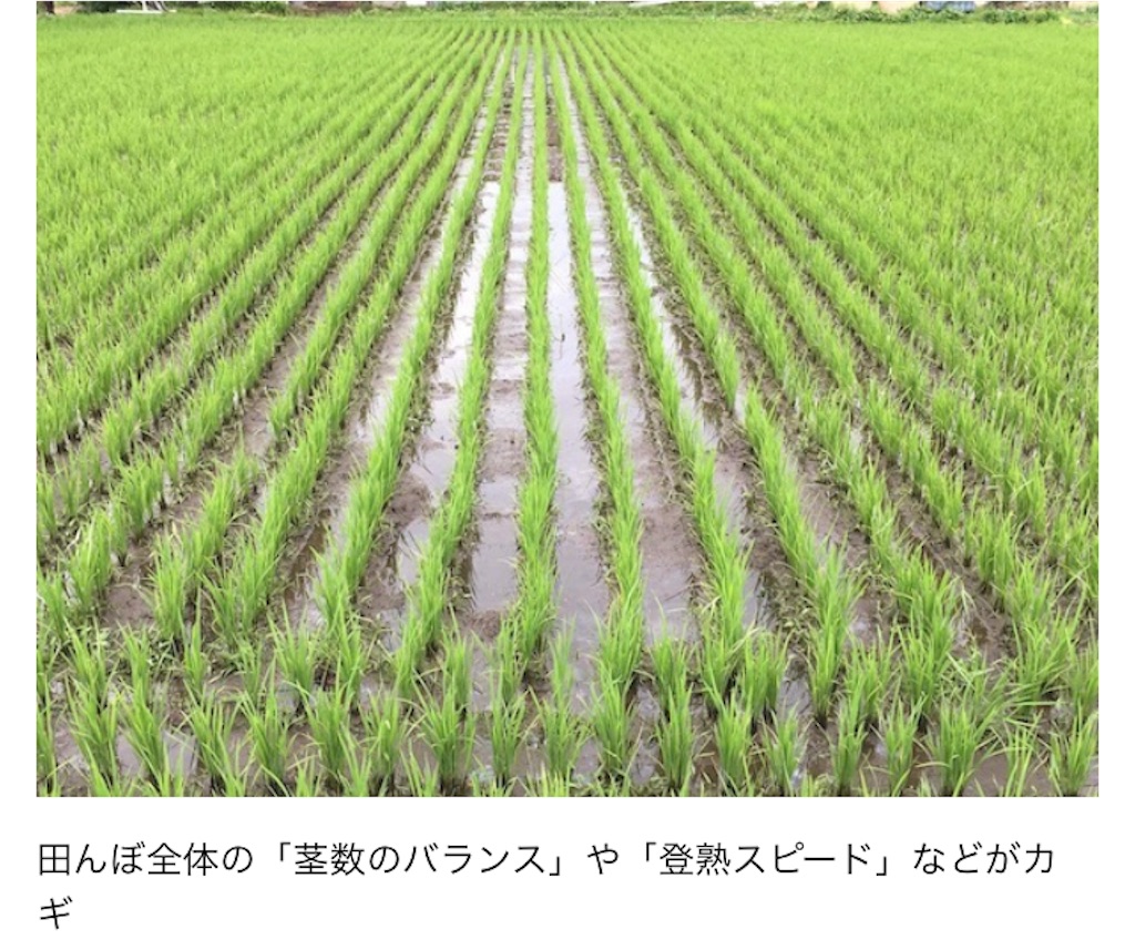 f:id:chihoism0:20211201151901j:image