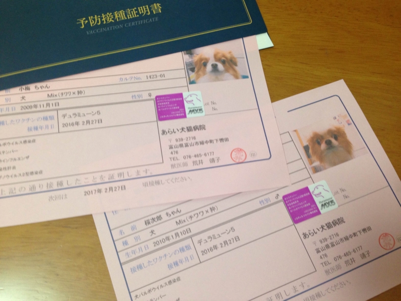 f:id:chihuachin111:20160228143201j:image