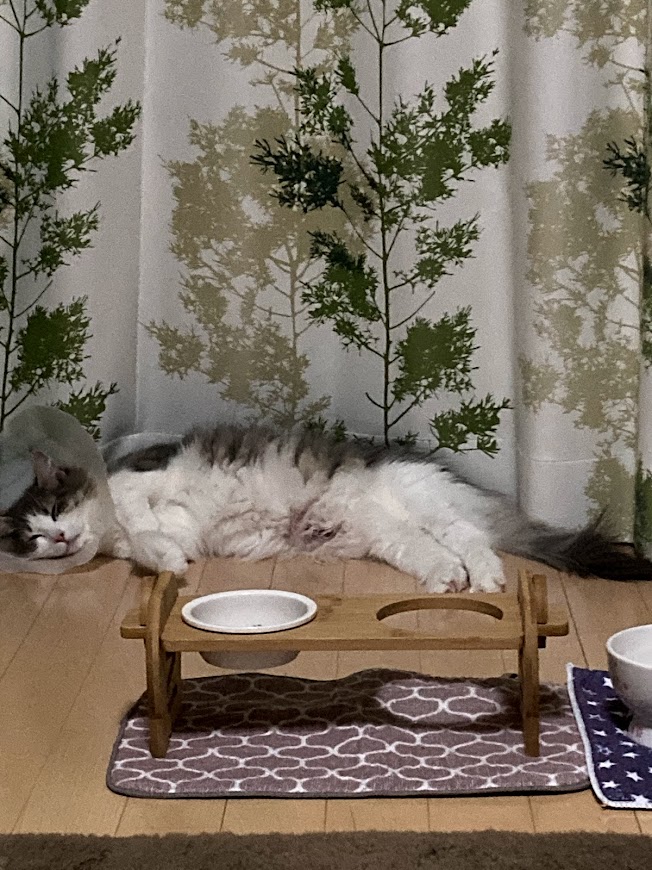 f:id:chii-chama194:20210926150247j:plain