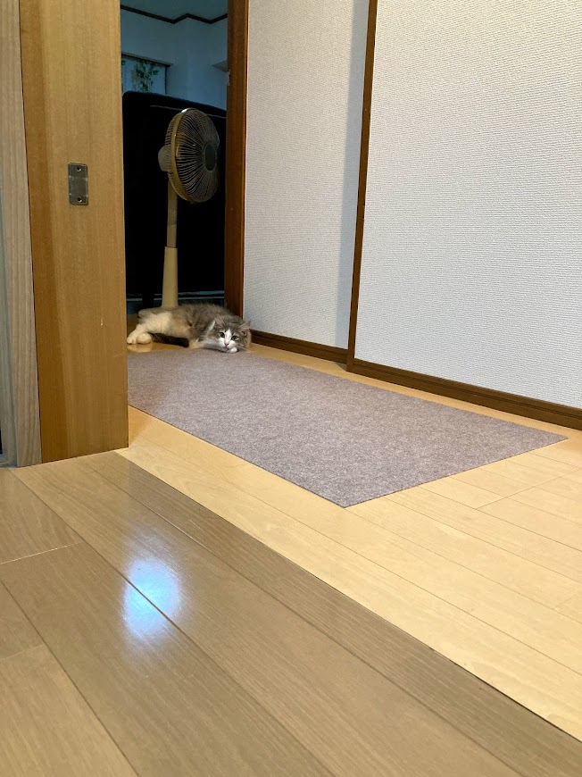 f:id:chii-chama194:20211005163500j:plain