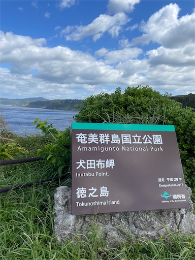 f:id:chii-ram:20221025213707j:image