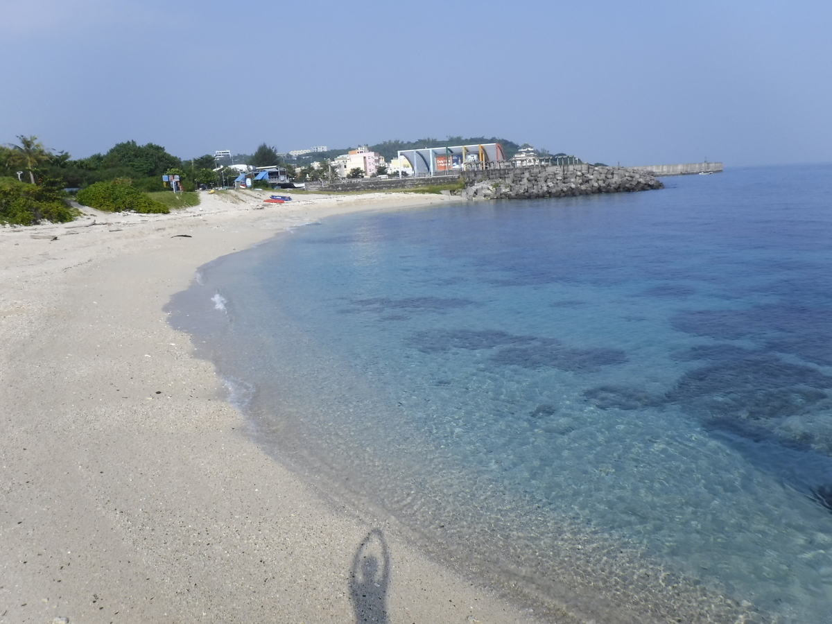 f:id:chiibohchiiboh:20191013095041j:plain