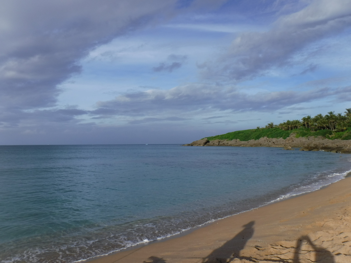 f:id:chiibohchiiboh:20191019085804j:plain