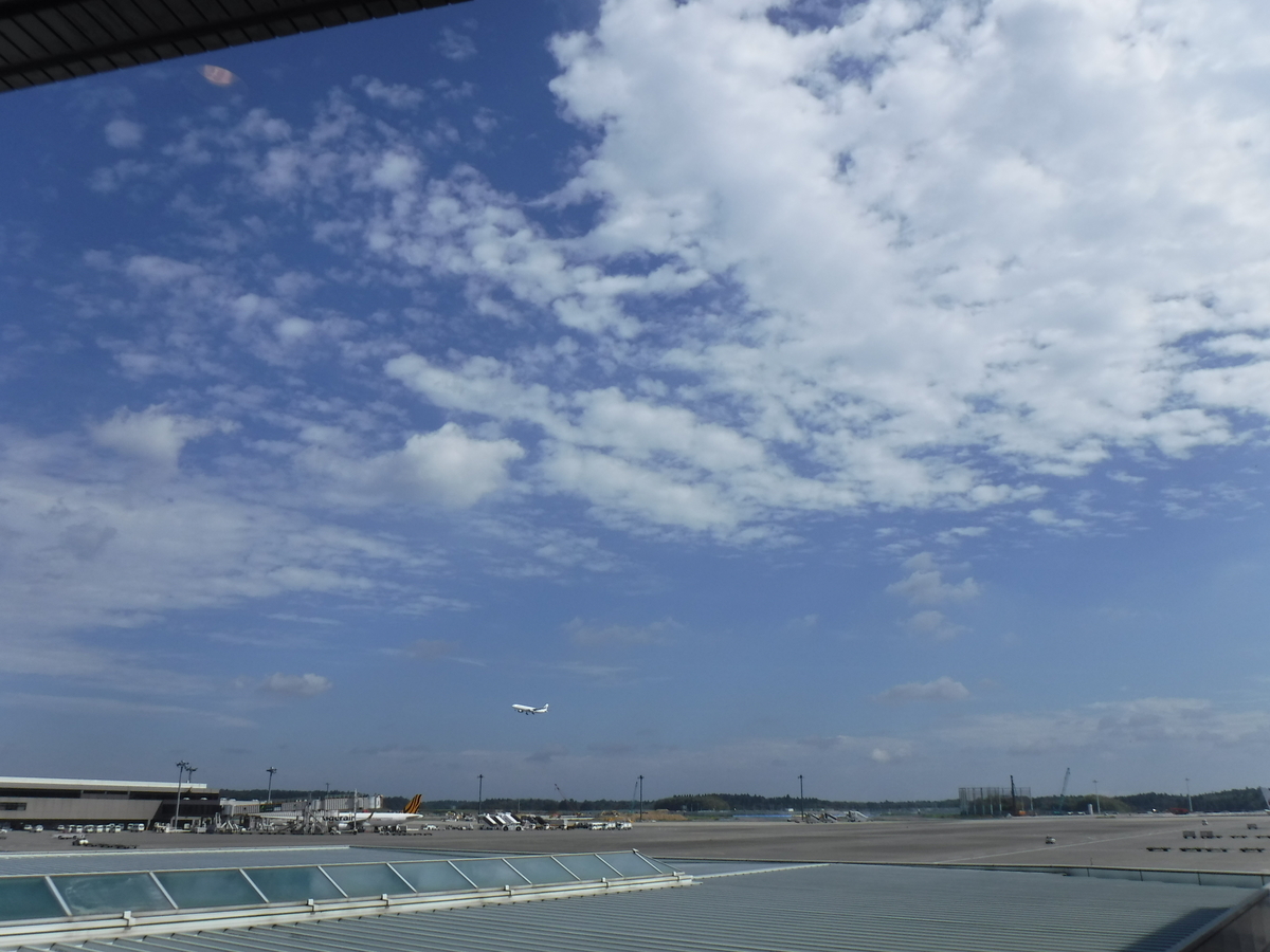 f:id:chiibohchiiboh:20191019105331j:plain